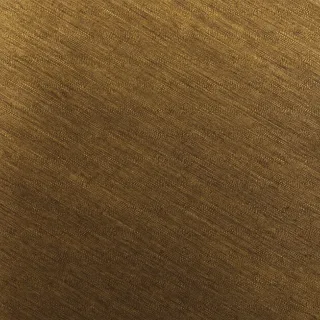 Antique Brass finish texture