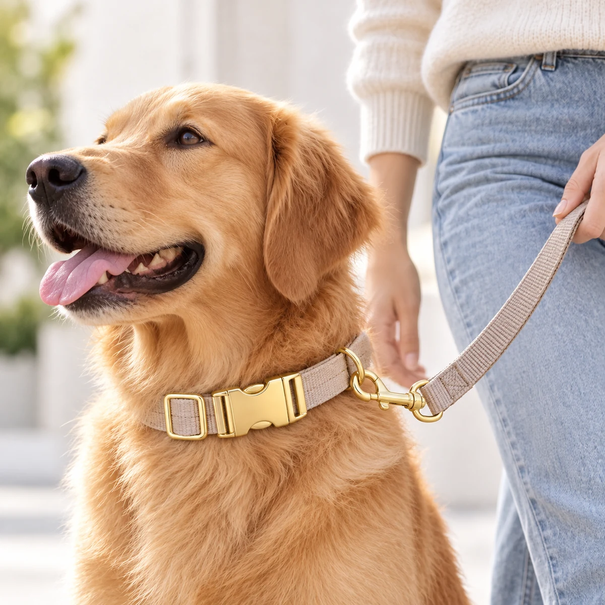 Pet Collar Hardware Matching Set (Buckle + D-ring + Slider) thumbnail 6